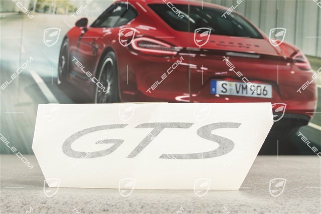 Decorative film with GTS logo, lateral, black