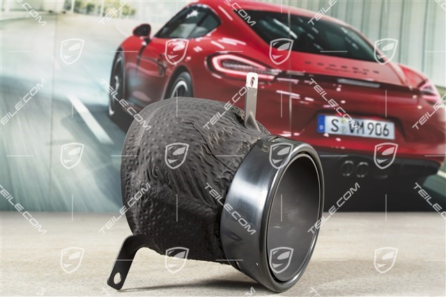 Exhaust system tail pipe, GT2RS, L