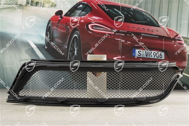 GT3RS, protective grille, L