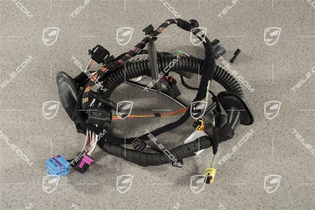 Wiring harness Drivers door assembly frame, power windows, High end sound package, L