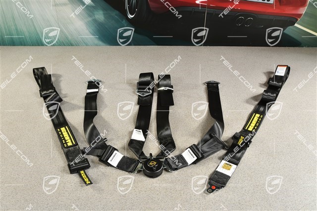 SCHROTH Racing seat belt, profi 2x2, pull-down, 6-point, black, L=R