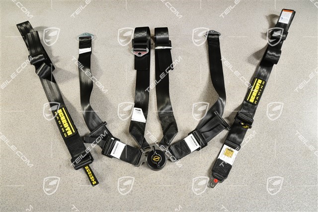SCHROTH Racing seat belt, profi 2x2, pull-down, 6-point, black, L=R