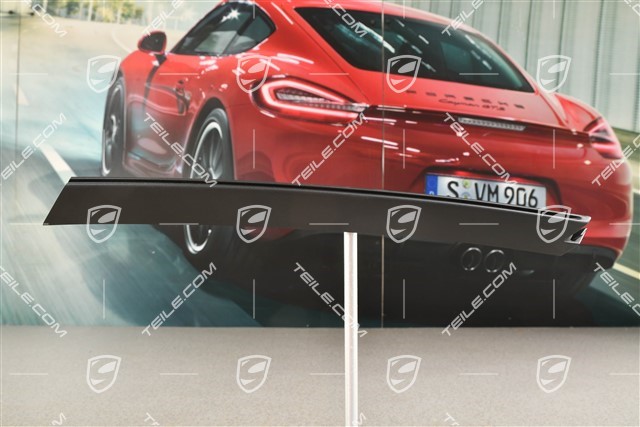 Disc / trim cover for front bumper retaining frame, Black matte, Sport Design / GTS, L