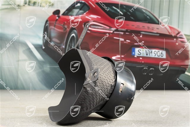 Exhaust system tail pipe, GT2RS, R