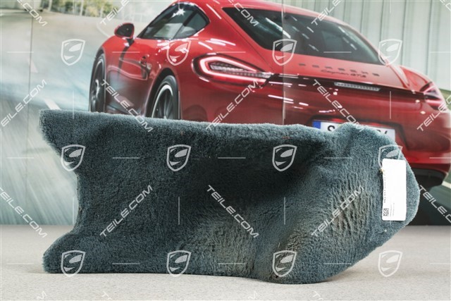 Lining strap hinge pillar for cars with Airbag, Carpet, Cedar green, LL/L