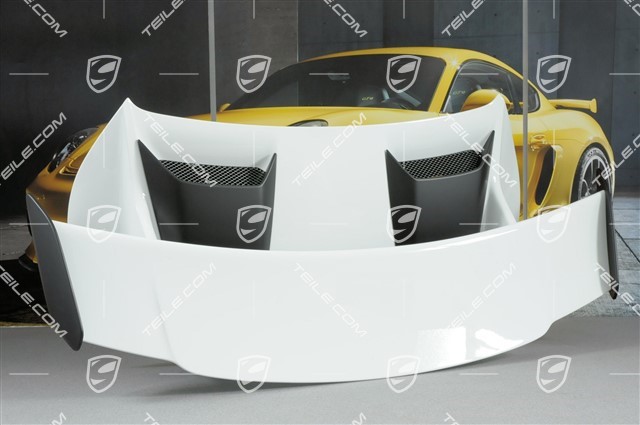 GT3 rear lid / engine lid complete, incl. rear spoiler (wing) and all small parts