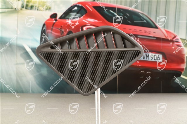 Dashboard cover trim for speaker, Bose, Agate Grey, L
