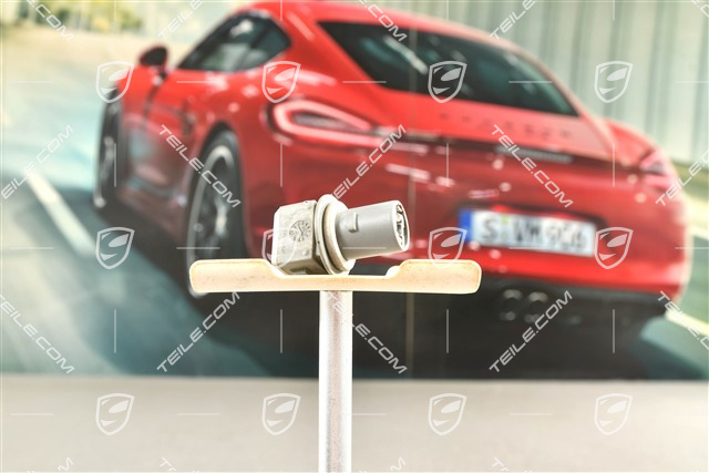 Lampenfassung, Blinker, L=R