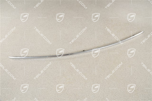 Trim strip for tailgate, Chromed