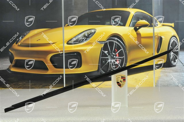 Zierleiste, coupé, R Zierleiste, coupé, R