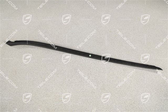 Windshield Water drain strip, A-pillar, black matte, L
