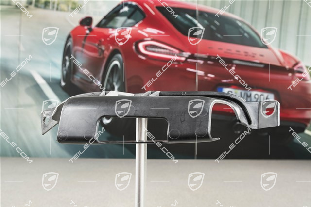 Rear bumper grille retaining, 911 R, L