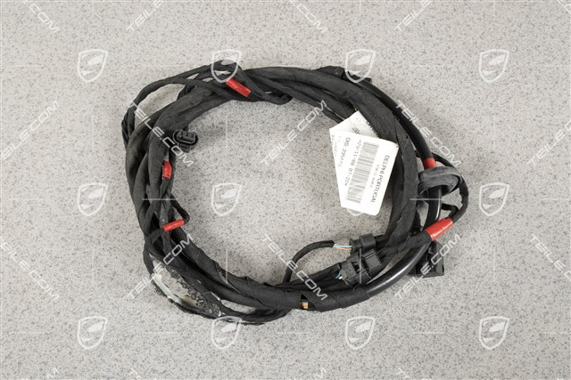 Quattroporte - Harness, PDC