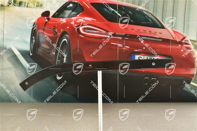 C2 / C4 / RS, Rear bumper Retaining / attachment strip, upper, L