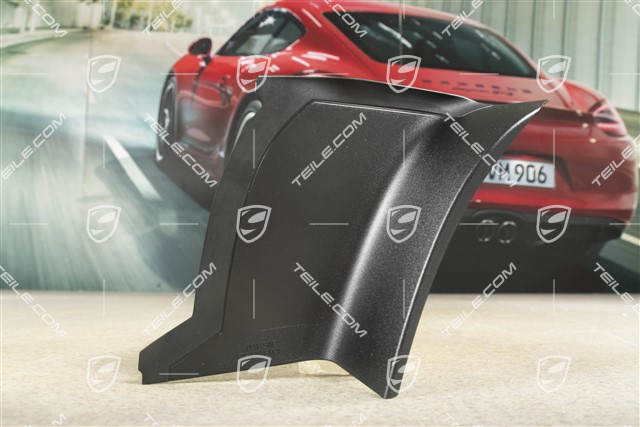 Rear light cover, outer, USA, L