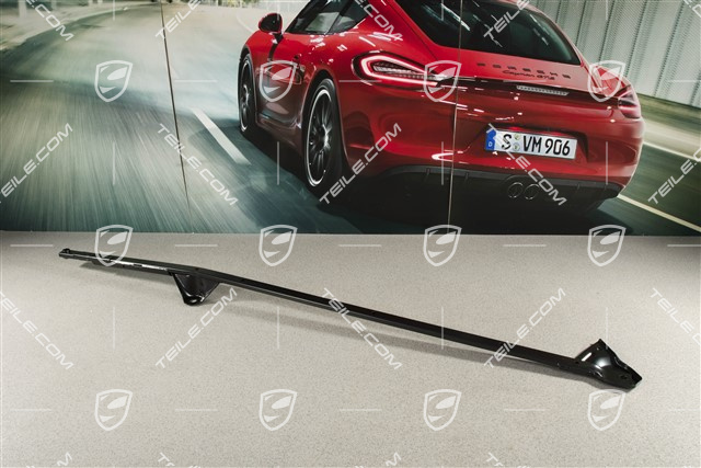 Brace, Rear end, R