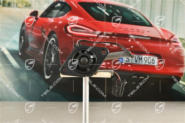 Loudspeaker High Pitch Range in dashboard, L=R