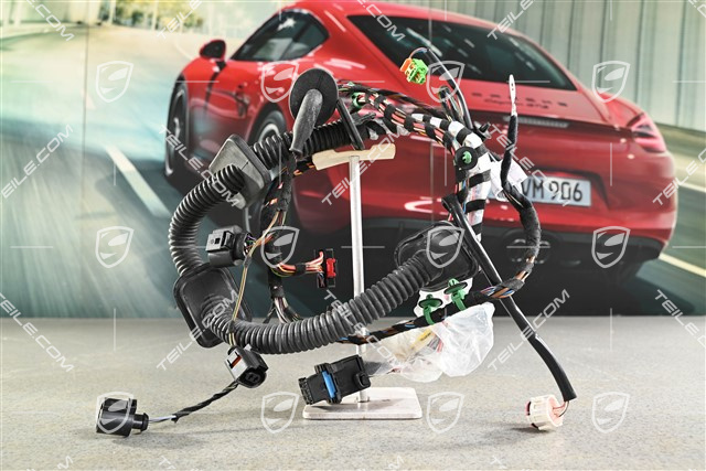 Wiring harness, Assembly frame, passenger's door, R