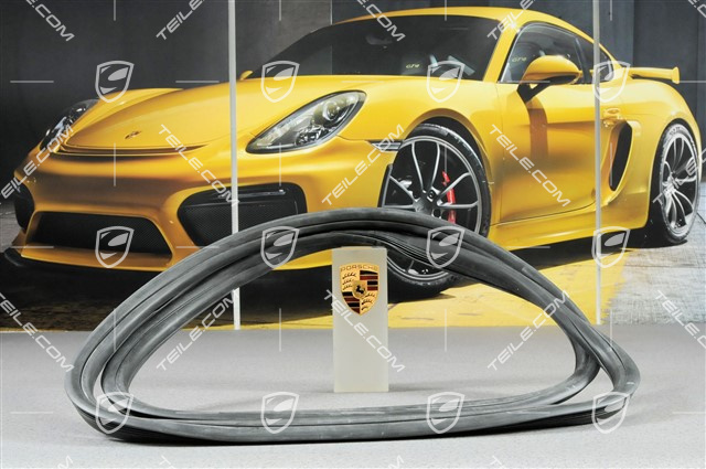 Sealing frame / rear window Sealing frame / rear window