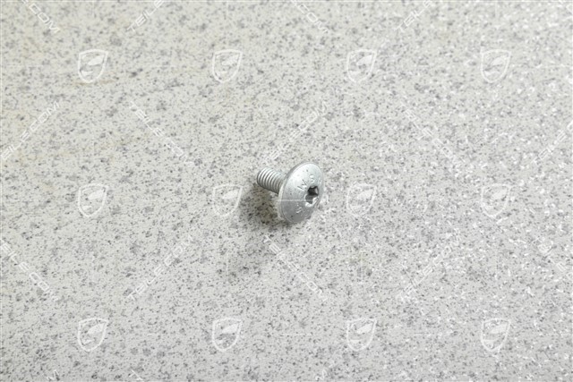 Pan / Oval-head screw M6 x 14 Pan / Oval-head screw M6 x 14