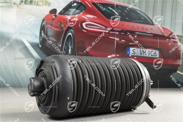 Luftfeder, hinterachse, PASM, R