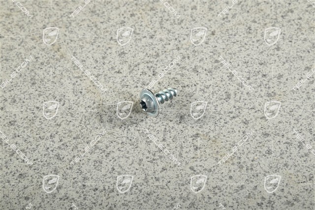 Oval head screw M6 x 17 Oval head screw M6 x 17