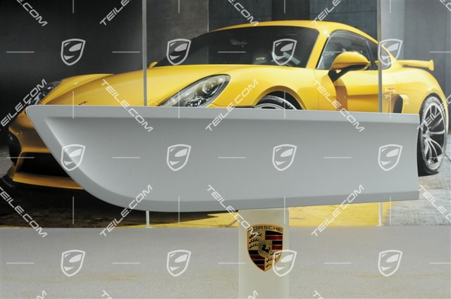 Door cover, rear, R Door cover, rear, R