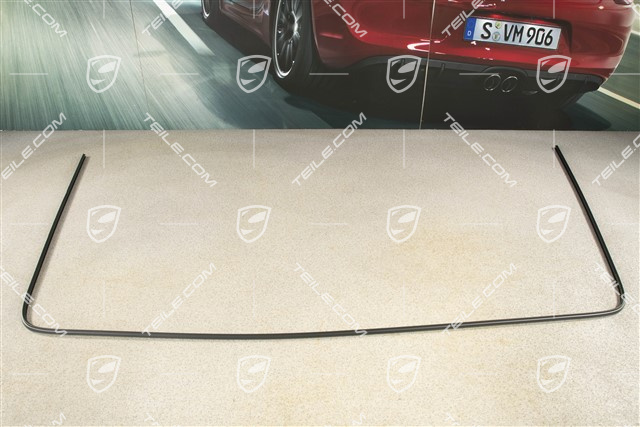 Windsceen trim frame
