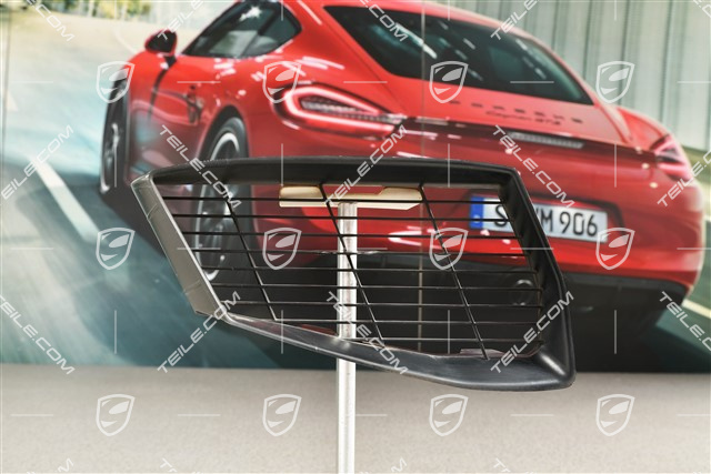 Air inlet protective grille, R