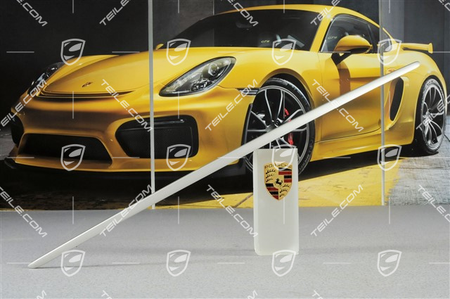 Trim strip for tailgate, Platinum Silver Metallic Trim strip for tailgate, Platinum Silver Metallic