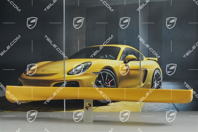 GT3 / Aero Kit Schwellerblende, Modell 2000, R GT3 / Aero Kit Schwellerblende, Modell 2000, R