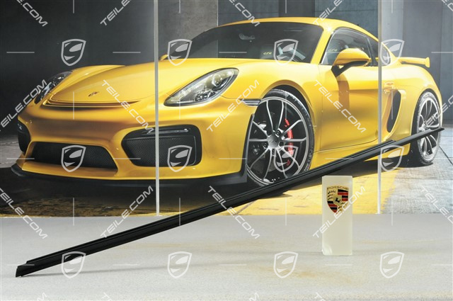 Dichtung, Türschacht, aussen, Rallyeschwarz, R Dichtung, Türschacht, aussen, Rallyeschwarz, R