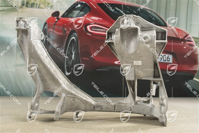 Rear suspension side section / panel, GT4, L