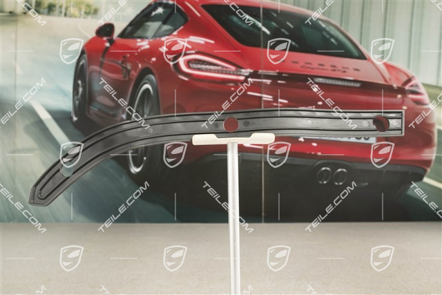 C2 / C4 / RS, Rear bumper seal / piping, R