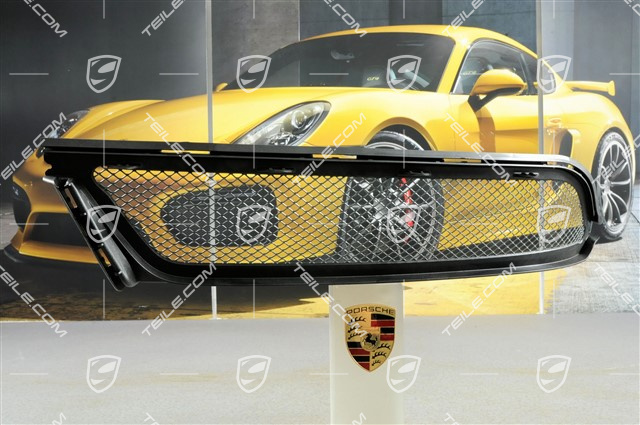 GT3RS, protective grille, R GT3RS, protective grille, R