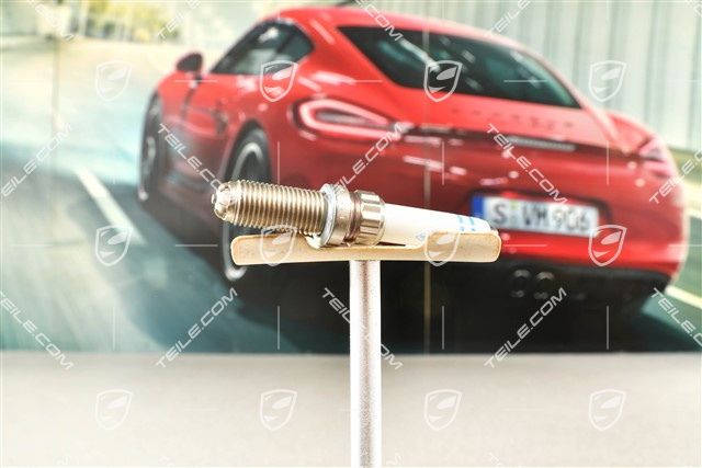 Spark Plug, Spyder RS