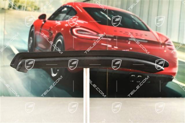 Rear spoiler, lower part gasket, R