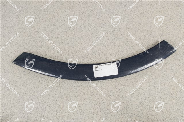 Wheel cover, door, rear, Lacquered, R