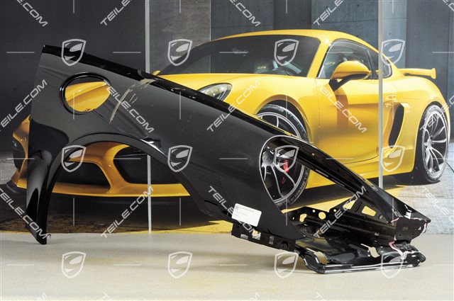 Wing, damaged, R Wing, damaged, R