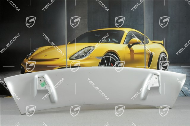 4200 - Rear bumper lower lining