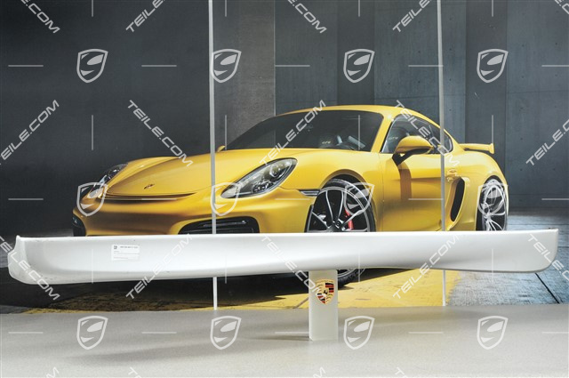 GT3 / Aero Kit Schwellerblende, Modell 2000, L GT3 / Aero Kit Schwellerblende, Modell 2000, L