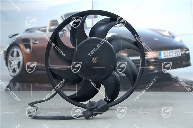 Fan, R Fan, R