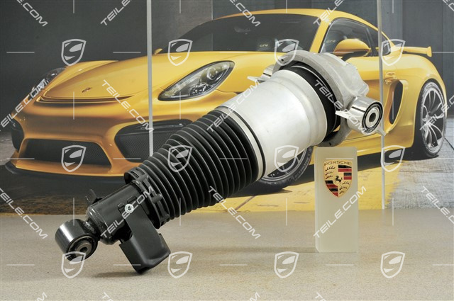 Federbein komplett, Luftfederung, 4.5 V8 / 4.5 Biturbo, R Federbein komplett, Luftfederung, 4.5 V8 / 4.5 Biturbo, R
