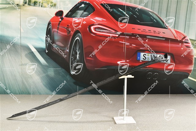 Windshield Water drain strip, A-pillar, black matte, L