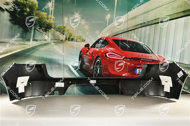 Rear bumper / lining, with ParkAssist / reversing camera