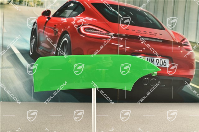 Disc / cover for front bumper retaining frame, centre, ACC, R