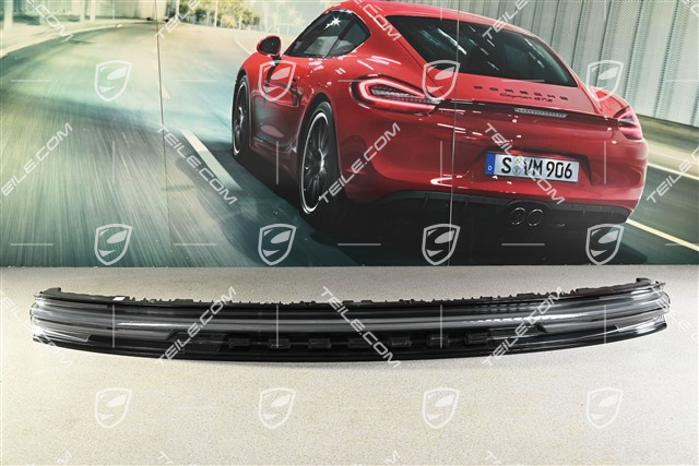 Rear light covering, center, Exclusive, Coupe