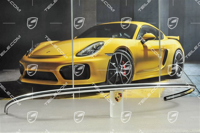 Moulding, version narrow without bumper horn Moulding, version narrow without bumper horn