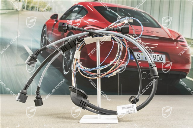 Wiring harness, ABS/brake pad wear indicator, Rear, R