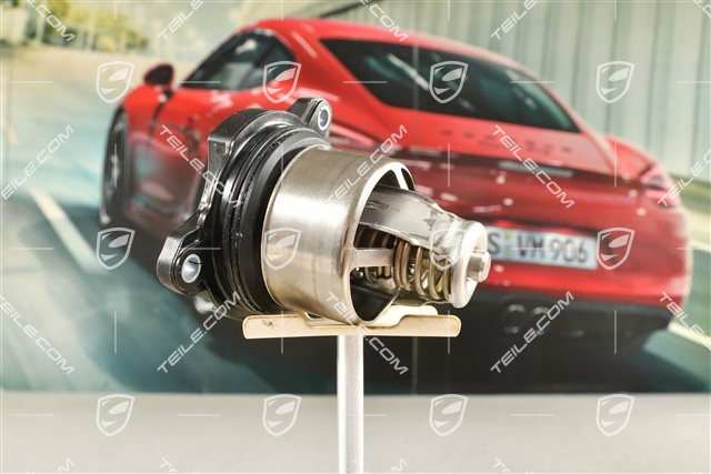 Thermostat insert 2,9L / 3,0L